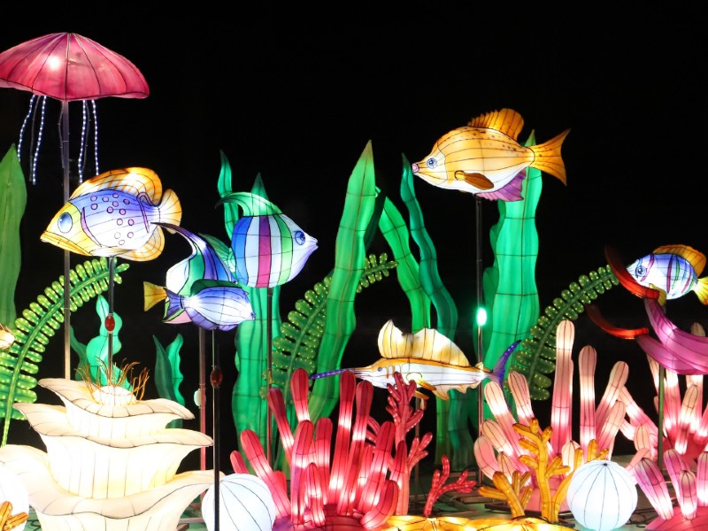 Land of Lights Festival Land of Lights Festival